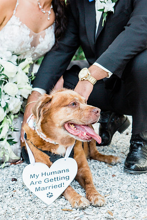 wedding-720