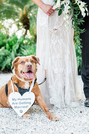 wedding-698