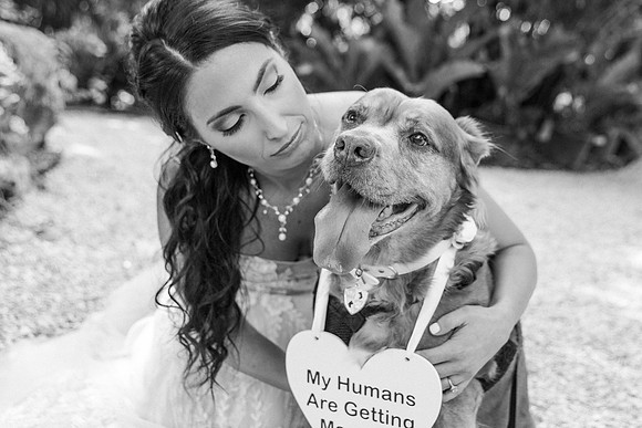wedding-213