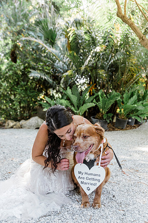 wedding-201