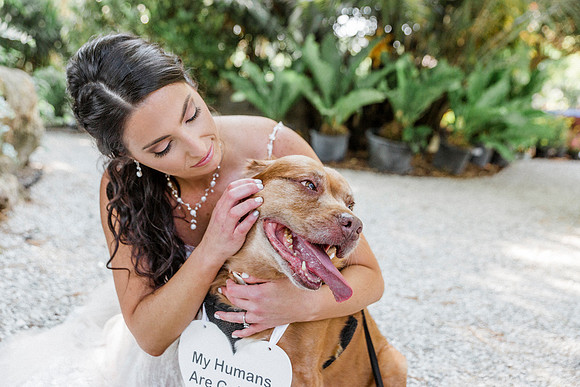 wedding-209
