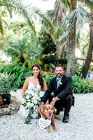 Dog of Honor