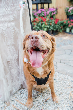 wedding-235