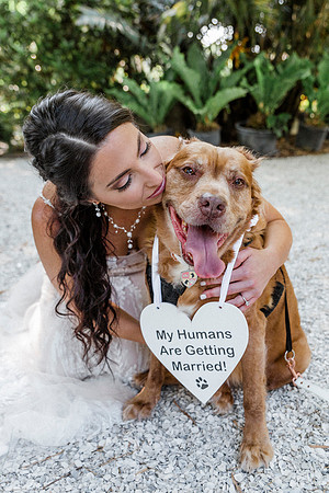 wedding-216
