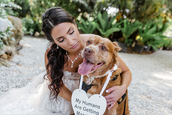 wedding-211