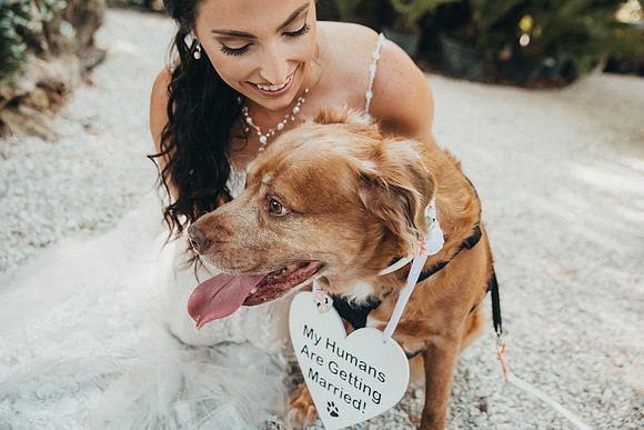 wedding-206