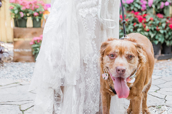 wedding-229