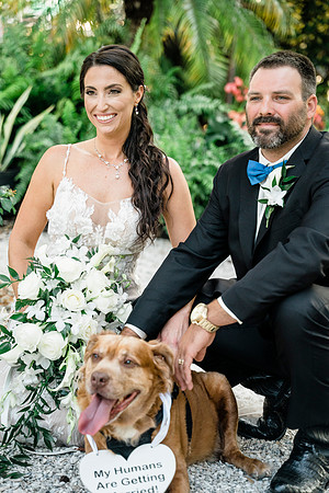wedding-703