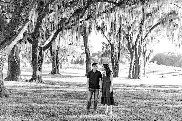 engagement-22