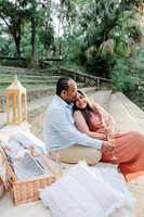 engagement preview-9