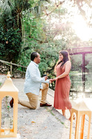 engagement preview-10