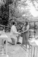 engagement preview-11