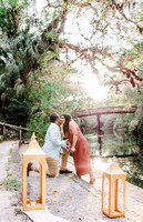 engagement preview-13