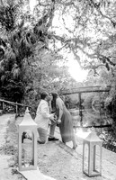 engagement preview-14