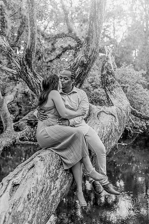 engagement preview-25