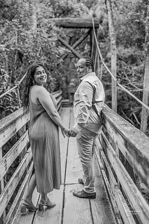 engagement preview-28