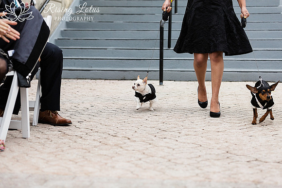 Kote and Otis walk the aisle
