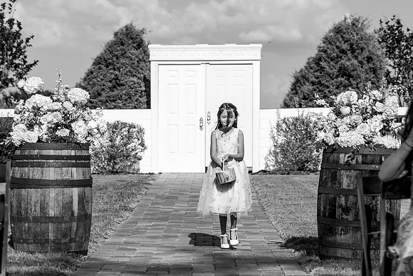 wedding-569