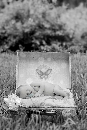 Kinseynewborn-2