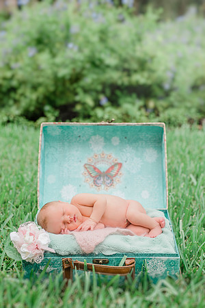 Kinseynewborn-1
