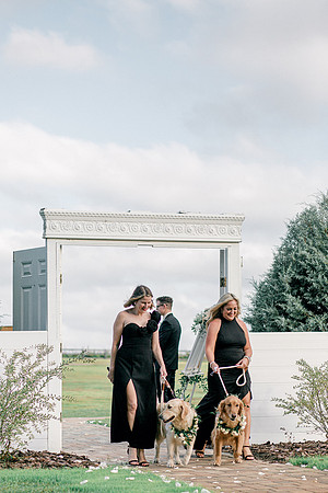 wedding-712