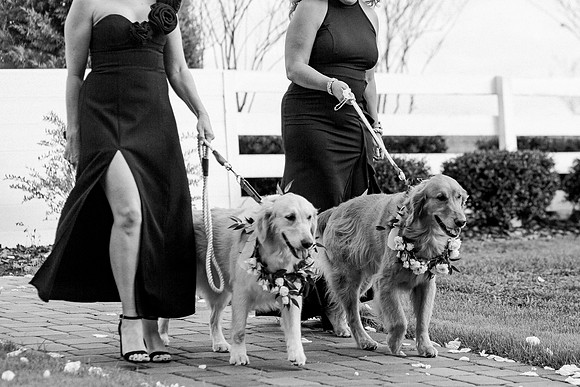 wedding-715