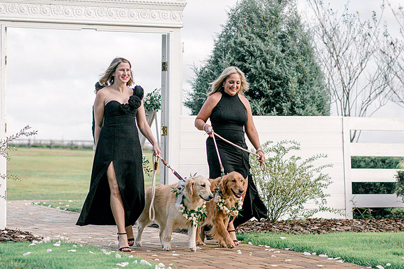 wedding-713