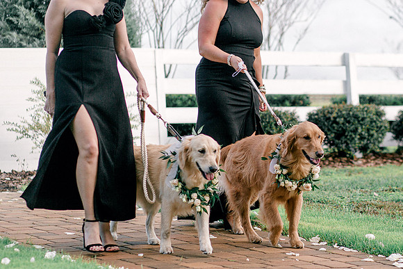wedding-714