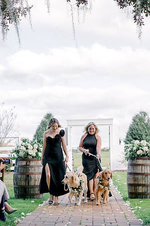 wedding-718