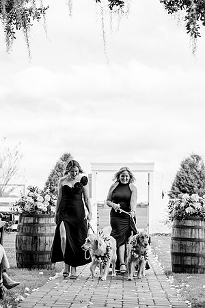 wedding-719