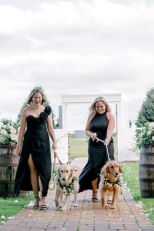wedding-721