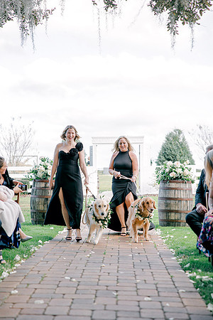 wedding-722