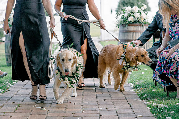 wedding-723