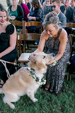 wedding-729