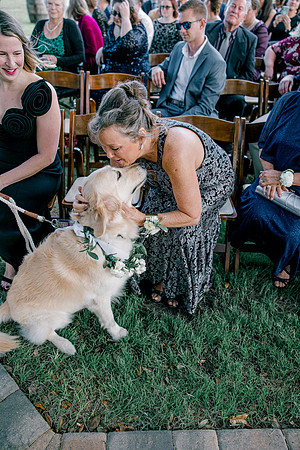 wedding-730