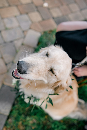 wedding-746