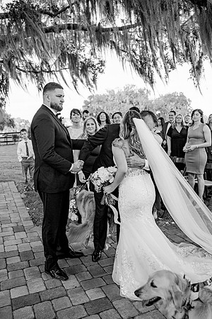 wedding-780