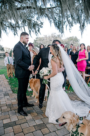 wedding-781