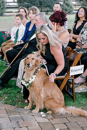 wedding-789