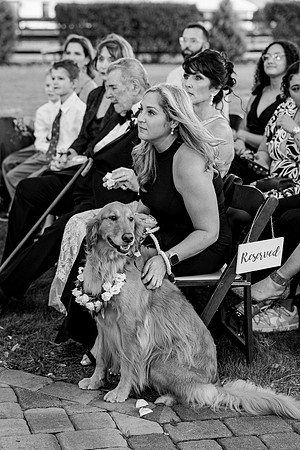 wedding-791