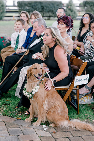 wedding-790