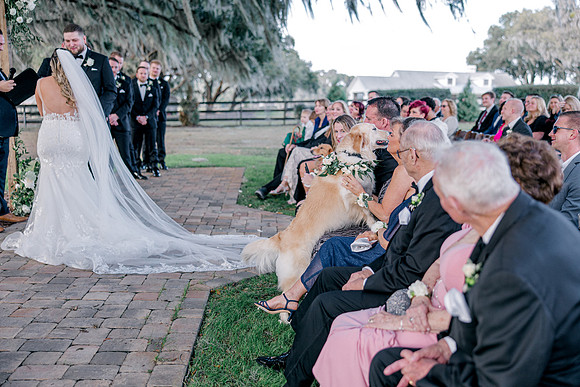 wedding-838