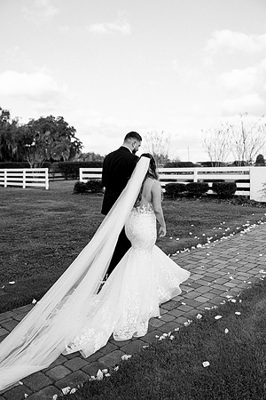 wedding-881