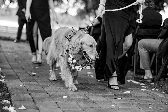 wedding-910
