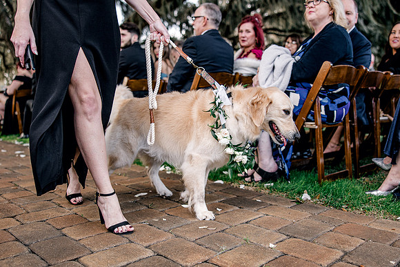 wedding-912