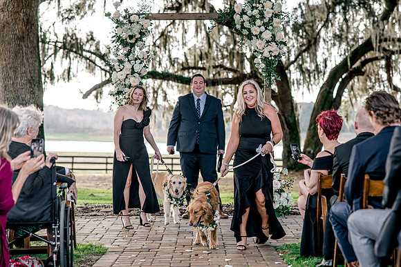wedding-913