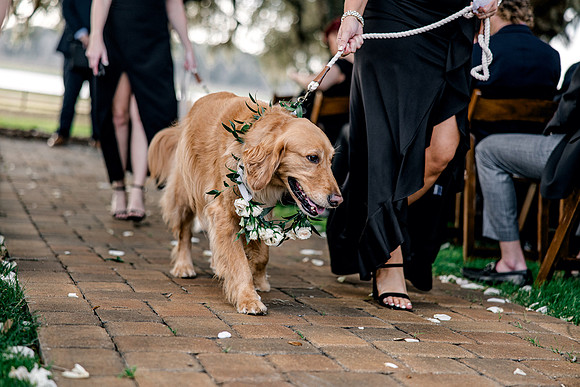wedding-909