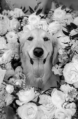 wedding-38