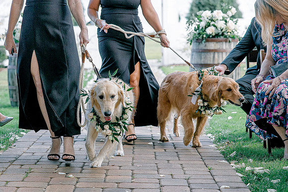 wedding-46