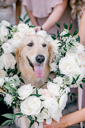 wedding-464